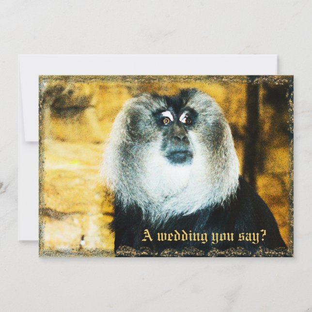 Convites para Casamento de Zoológico de Fotos de M (Frente)