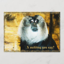 Convites para Casamento de Zoológico de Fotos de M