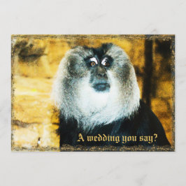 Convites para Casamento de Zoológico de Fotos de M