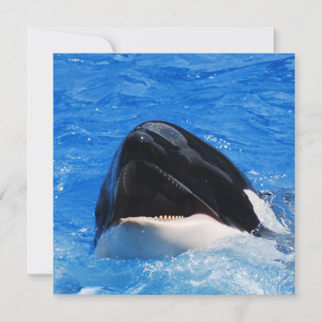 Convites para Sons de Baleia (Frente)