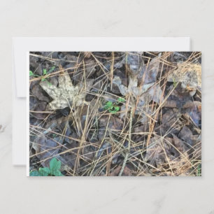 Convites para Vazios de Camo, Camuflagem