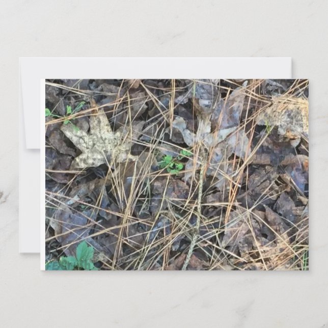 Convites para Vazios de Camo, Camuflagem (Frente)