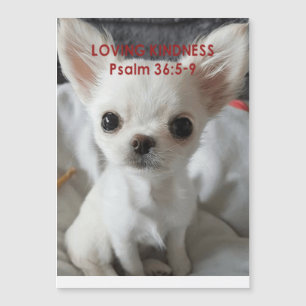 Convites Psalm 36 Chihuahua