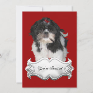 Convites Shitzu Shih Tzu Cachorrinhos Cachorros Ve