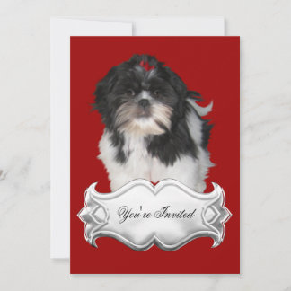 Convites Shitzu Shih Tzu Cachorrinhos Cachorros Ve