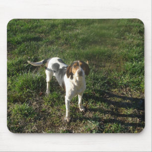 Coonhound Mousepad do caminhante de Treeing