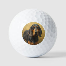 Coonhound Preto e Castanho