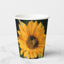 Copas de papel sunflower