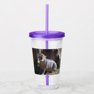 Copo De Acrílico Baby Hippo Tumbler
