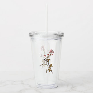 Copo De Acrílico Blackburnian Warbler Vintage Audubon Songbird Art