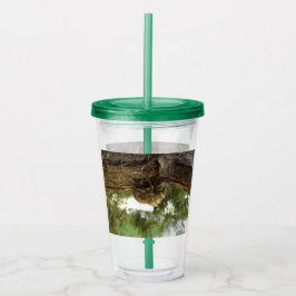 Copo De Acrílico Concha de Cicada. Estava com pressa.