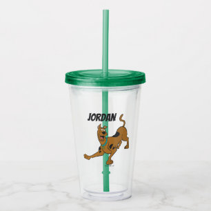 Copo De Acrílico Scooby-Doo Ready To Play