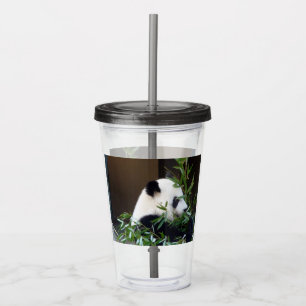 Copo De Acrílico Taça de Panda Bear de Acrílico com Tampa e palha