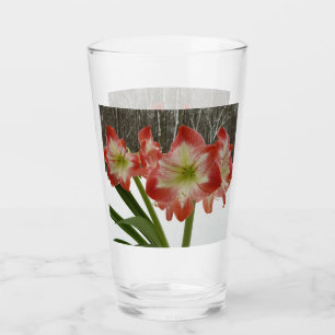 Copo De Pint Amaryllis no Feriado Vermelho de Neve Floral de in