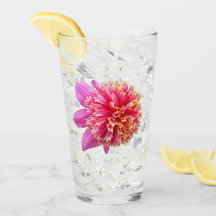 Anemone rosa Dahlia Bloom Floral