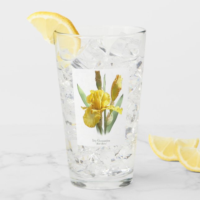 Copo De Pint Arte Botânica da Flor Íris Amarela (Gelo frontal)