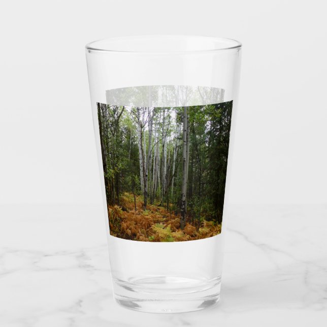 Copo De Pint Árvores de Bétula Branca e Samambaias de Outono na (Frente)