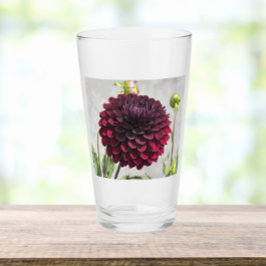 Copo De Pint Bebendo Floral Dark Red Dahlia Bloom