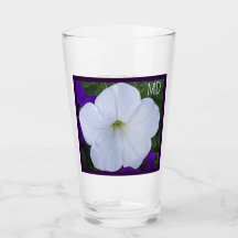 Beleza da Foto da Flor Branca para a Bíblia Ashes