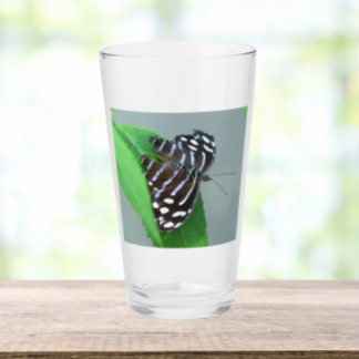 Copo De Pint Blue Wave Butterfly on Leaf Photo