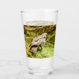 Copo De Pint Buzzard à procura de larvas