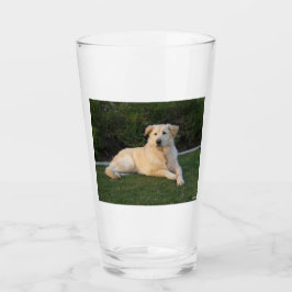 Copo De Pint Cachorro de Relaxamento