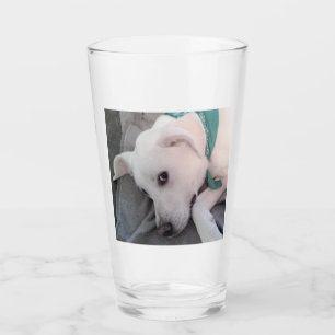 Copo De Pint Cão de Dia de São Patrício Cansado Vestindo Verde