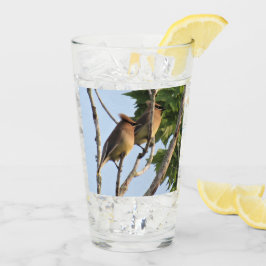 Copo De Pint Cedar Waxwing - Backyard Bird Series - Glass