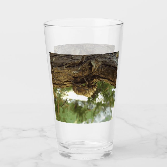 Copo De Pint Concha de Cicada. Estava com pressa. (Frente)