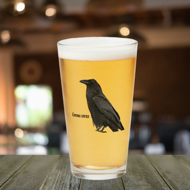 Copo De Pint Corvo Preto Com Nome Científico (In Situ)