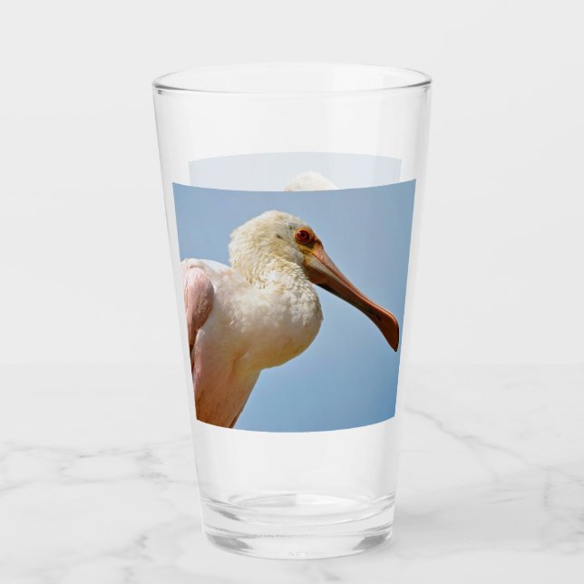 Copo De Pint Fechar Coleção de Spoonbill (Frente)