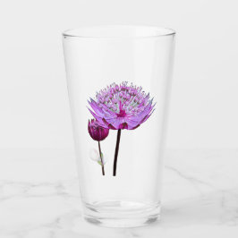 Copo De Pint Flor de Astrantia Rosa Floral