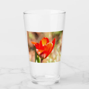 Copo De Pint Flor de Tulipas Vermelhas