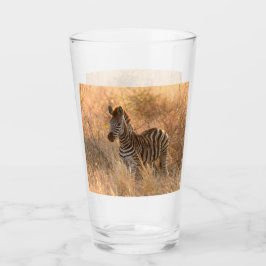 Copo De Pint Foto do dia de sol de Zebra