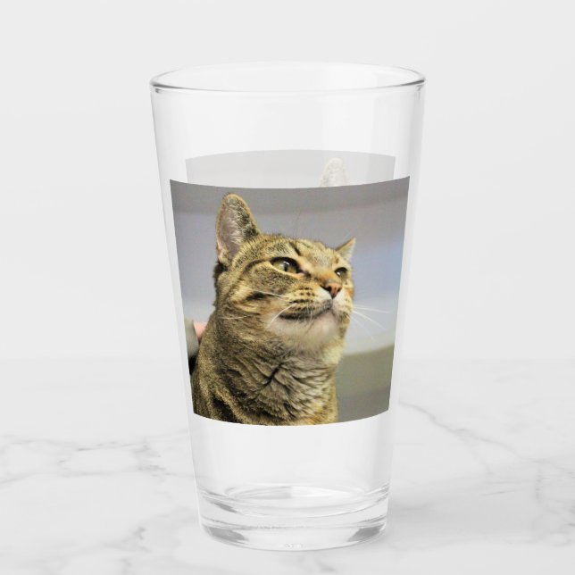 Copo De Pint Gato (Frente)