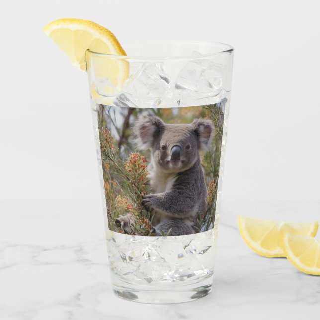 Copo De Pint Grevillea Koala Bear (Gelo frontal)