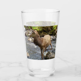 Copo De Pint Jovem Red Deer no rio