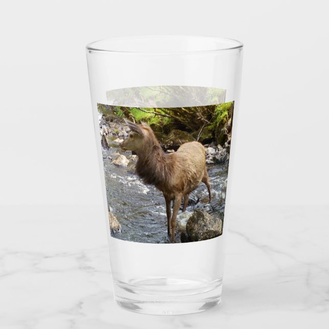 Copo De Pint Jovem Red Deer no rio (Frente)