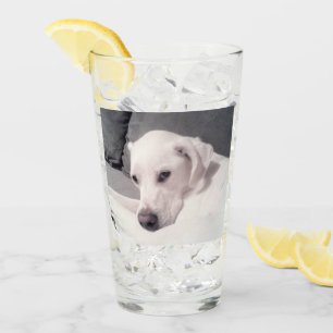 Copo De Pint Labrador Branco Labrador Mistura Cinza de Cachorro
