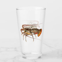 Lagostim - Panulirus Regis