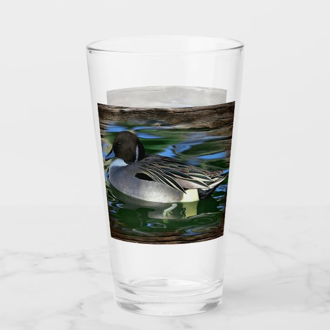 Copo De Pint Mallard Duck No Lago (Frente)
