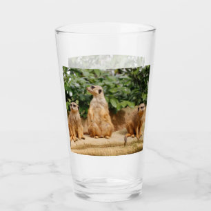 Copo De Pint Meerkat 008