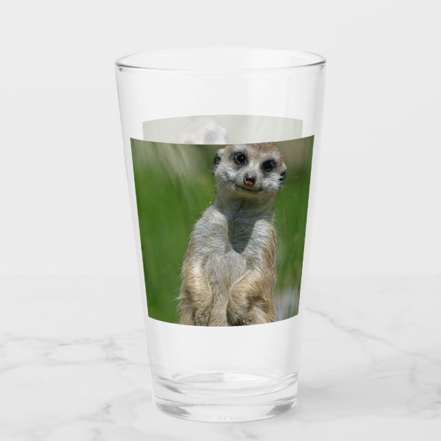 Copo De Pint Meerkat 013 (Frente)