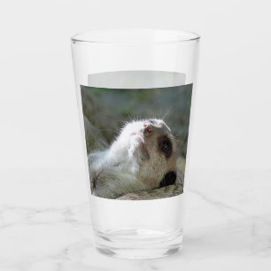 Copo De Pint Meerkat 024