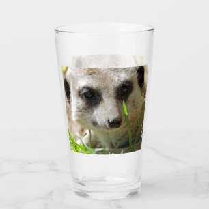 Copo De Pint Meerkat 026