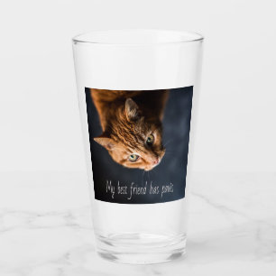 Copo De Pint Meu melhor amigo tem patas, Cat Kitten Cute