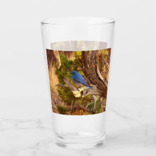 Copo De Pint Mountain Bluebird no Parque Nacional de Arches