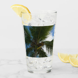 Copo De Pint Olhando para a natureza tropical da árvore de palm