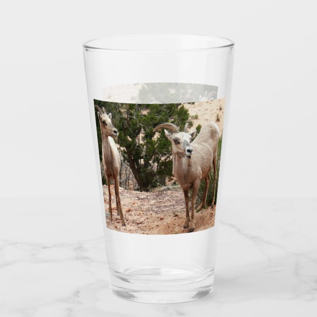 Copo De Pint Ovelha Engraçada no Parque Nacional do Zion (Frente)