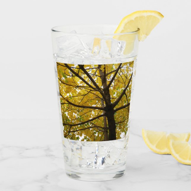 Copo De Pint Par da Natureza do Outono das Árvores Amarelas do  (Gelo traseiro)